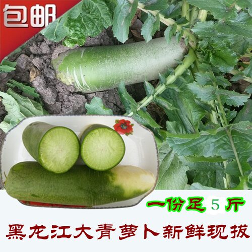 5斤装东北特产黑龙江蔬菜萝卜