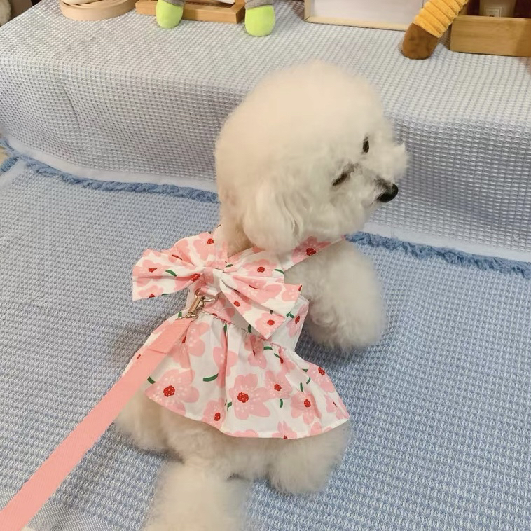 狗狗胸背带可调节款小型犬防挣脱泰迪比熊博美巴哥法斗宠物连衣裙
