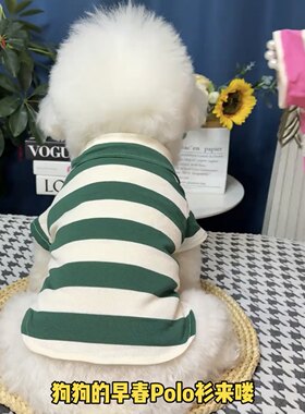 狗狗衣服春装小型犬20斤泰迪博美比熊贵宾约克夏宠物polo衫帅气
