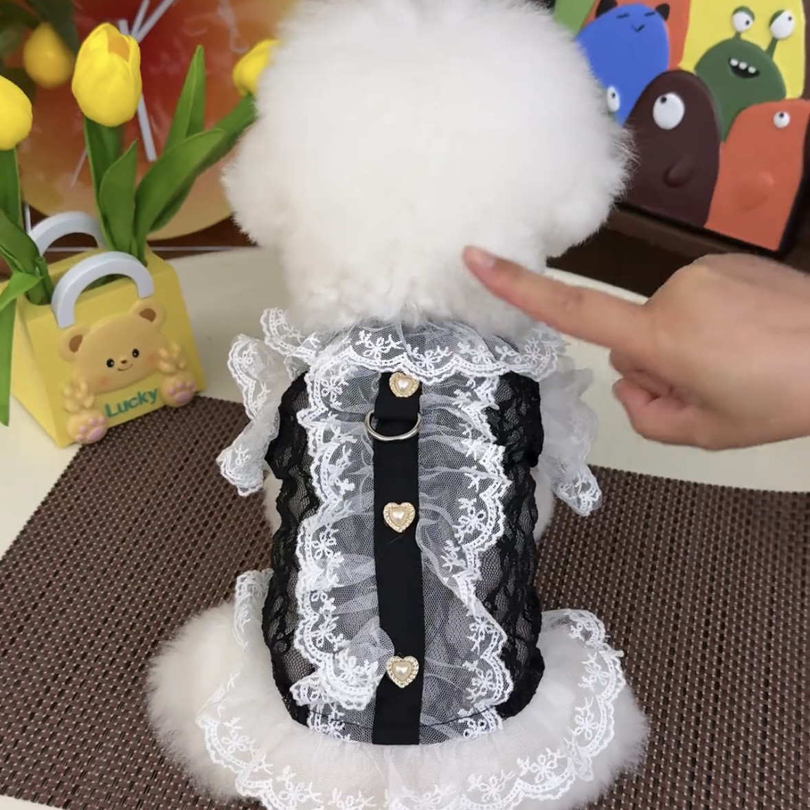 小狗衣服小型犬幼犬带牵引扣薄款防掉毛泰迪比熊宠物蕾丝连衣裙裙