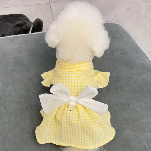 小狗衣服薄款带牵引扣幼犬泰迪博美小型犬宠物连衣裙子公主风比熊