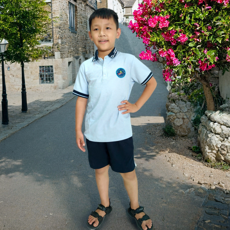 湛江市赤坎区17中同款短袖t恤衫夏季班服校服短裤运动服夏装棉质