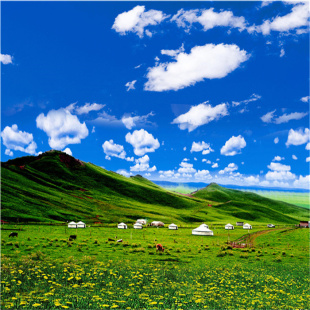 新款 直播背景布立体主播墙布3D山水大草原主竹林室外风景直播幕布