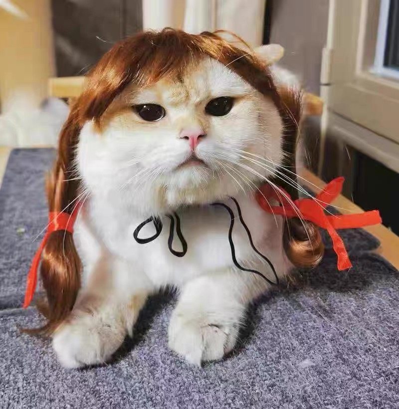 宠物假发爆炸头齐刘海小辫子猫狗狗法牛英短猫咪搞怪搞笑头套发饰