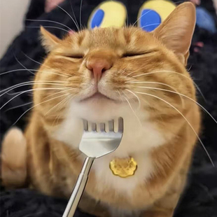 猫咪挠痒神器猫狗梳子挠痒梳猫伸缩梳痒痒挠狗狗宠物懒人梳毛用品