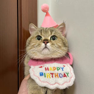 韩版猫咪生日帽子围兜围嘴口水巾套装宠物饰品装饰拍照狗狗三角巾