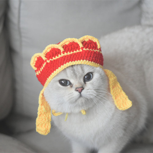 喵婉儿搞笑唐僧宠物头套八戒帽子