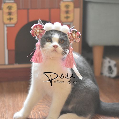 头饰还珠格格贵妃生日帽京剧