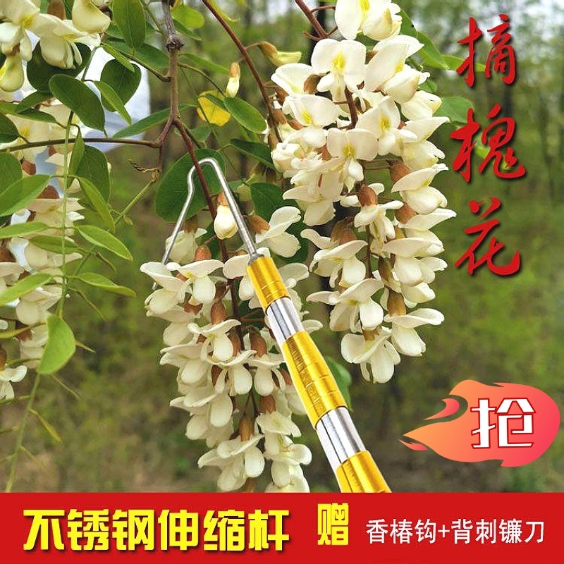 摘椿芽神器勾香椿芽勾子摘春芽钩草杆子够槐花香椿掰香椿工具打香