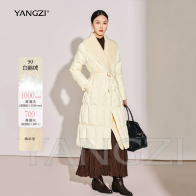 秋冬时尚优雅气质款大翻领收腰款90白鹅绒服外套 XGD2510-251539
