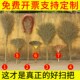 大扫把竹扫帚扫地马路扫院子 塑料丝庭院家用单个笤帚长扫室外