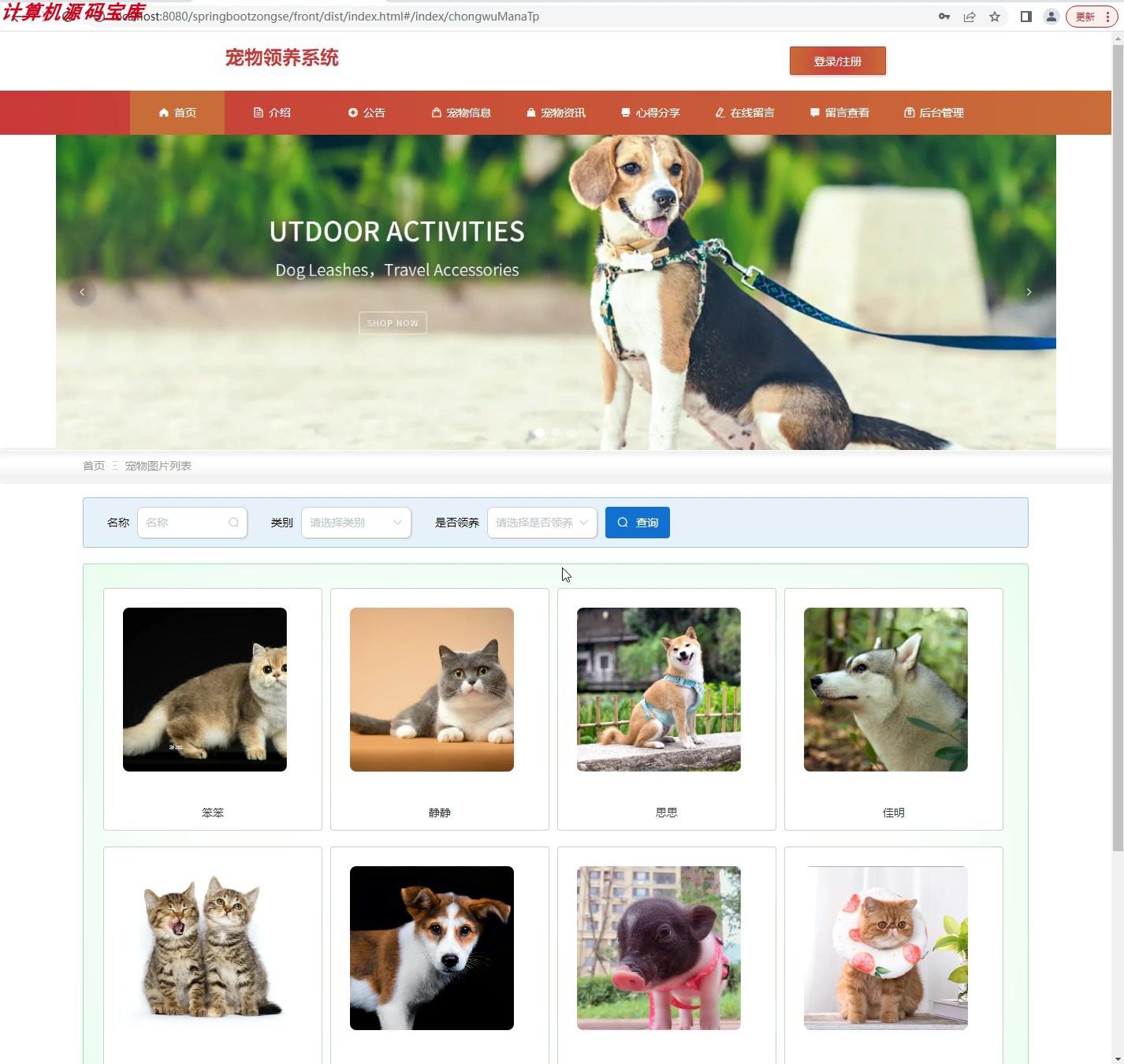 springboot宠物领养寄养网站系统Javaweb用品店商品计算机设计