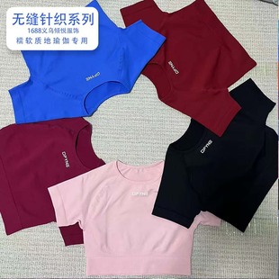 DFYNE热卖短袖上衣五色可选瑜伽健身运动弹力透气百搭女