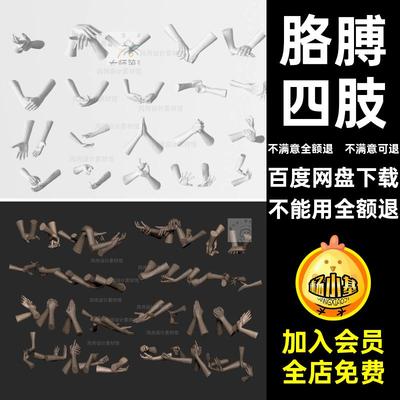 手部3D模型女性人物手模手部动作姿势obj手指雕刻胳膊四肢C4D手势