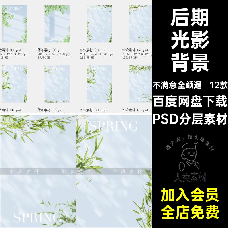 实景竹子光影情侣婚纱照背景影楼后期照片合成PSD模板设计素材图