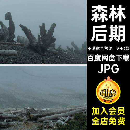 意境岛屿参考海边后期340款阴森图片素材场景荒凉恐怖森林迷雾