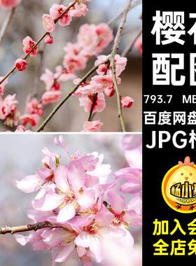 粉红色樱花配图JPG格式心灵清80套图文JPG格式桃花情感案