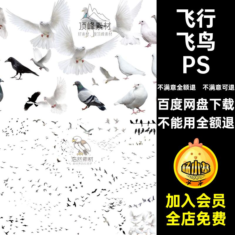 飞行飞鸟PSD姿态鸟类动物效果图抠白鹭免大雁鸽子鸟群素材ps各种