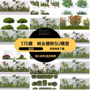 170套组合植物SU模型搭配庭院草丛组团SKP灌木丛绿植树丛