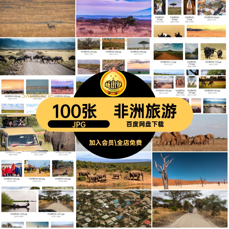 100张非洲大象JPG沙漠自然风景旅游风光照片草原人文图片素材动物
