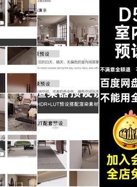 LUT法式空间日景预设室内预设D5渲染暗调后期器场景参数奶油暗调