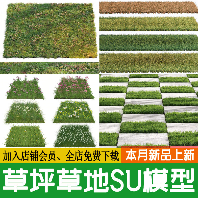 草坪草地草皮马尼拉结缕草果岭草百慕大四季青结缕草剪股颖SU模型