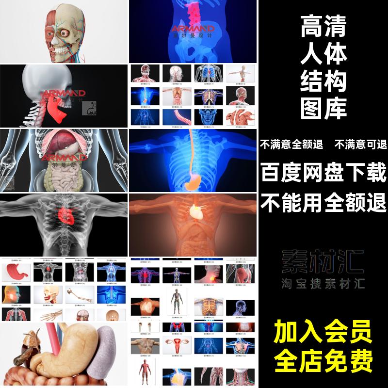 素材经脉肌肉高清效果图图库人体图片海报骨骼示意结构医疗海报