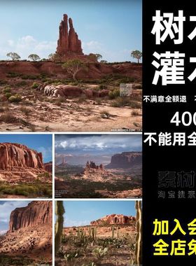 悬崖岩石虚幻UE5Cliffs沙漠RealBiomes树木写实灌木Desert场景