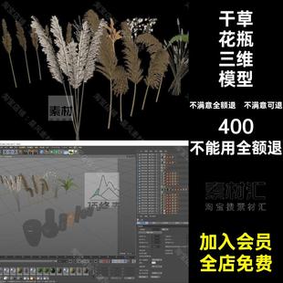 干枯植物花瓶FBX三维枯草稻穗小麦干草模型插花文件C4D素材STL