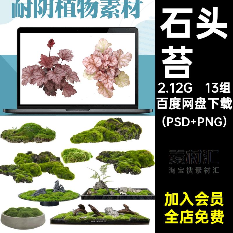 花镜地被（PSD PNG）素材根蕨类ps源文件植物扣园林景观矾13组