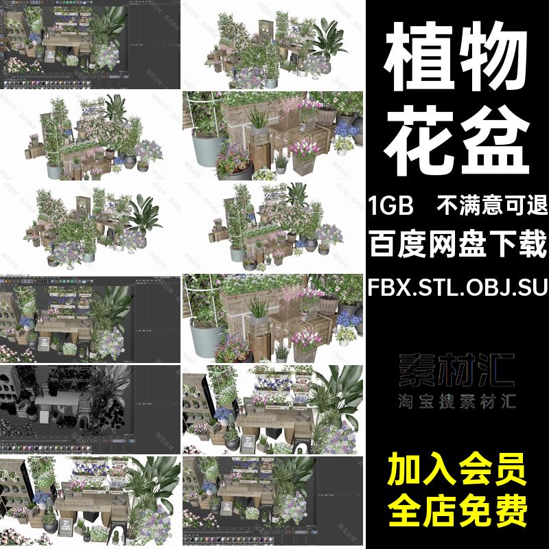 盆景植物三维模型FBX花卉FBX.STL.OBJ.SU康乃馨盆栽花盆3D鲜花