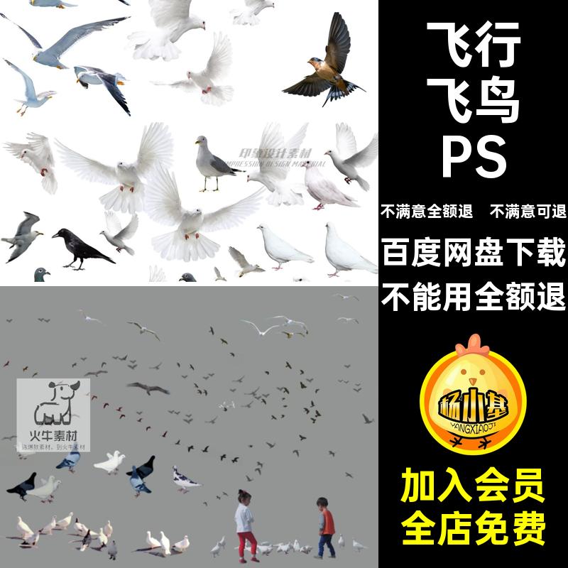 白鹭飞鸟PSD鸟群免素材效果图鸽子动物鸟类大雁ps姿态飞行各种