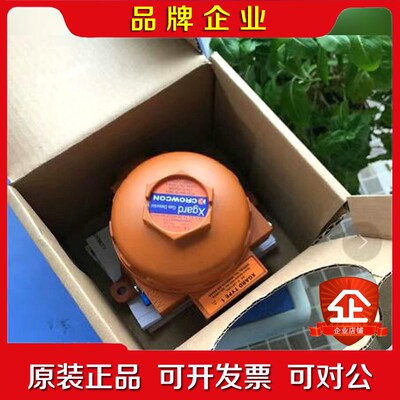 CROWCON XGARD. TYPE 1氧气臭氧探头全 议价
