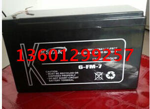 科士达12V17AH直流屏电瓶EPS电源电池 科士达6-FM-17铅酸蓄 足量