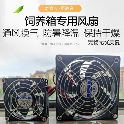 豆豆家的萌宠宠物换气通风散热