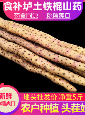 温县垆土铁棍铁杆淮山药怀山药