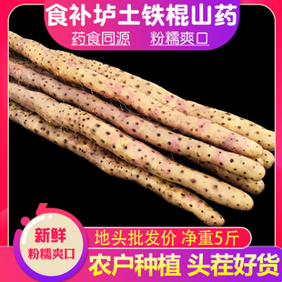 温县垆土铁棍山药正宗河南焦作武陟淮山药新鲜生铁杆怀山药5斤粉