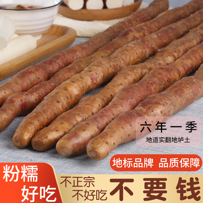 温县垆土山药铁棍正宗淮山河南山药新鲜武陟铁杆怀山焦作山约5斤