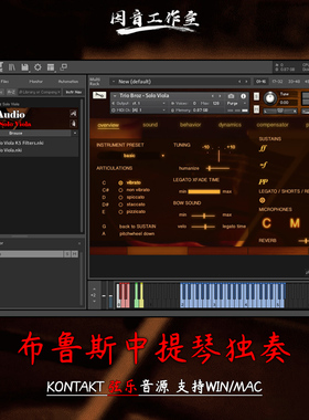 布鲁斯中提琴独奏Fluffy Audio Trio Broz Solo Viola音源kontakt