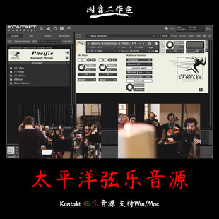 太平洋弦乐音源交响乐 大中小低音提琴Pacific Ensemble Strings