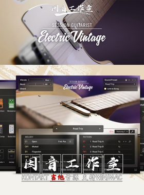 Telecaster 六弦电吉他音源 Session Guitarist Electric Vintage