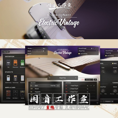 Telecaster 六弦电吉他音源 Session Guitarist Electric Vintage