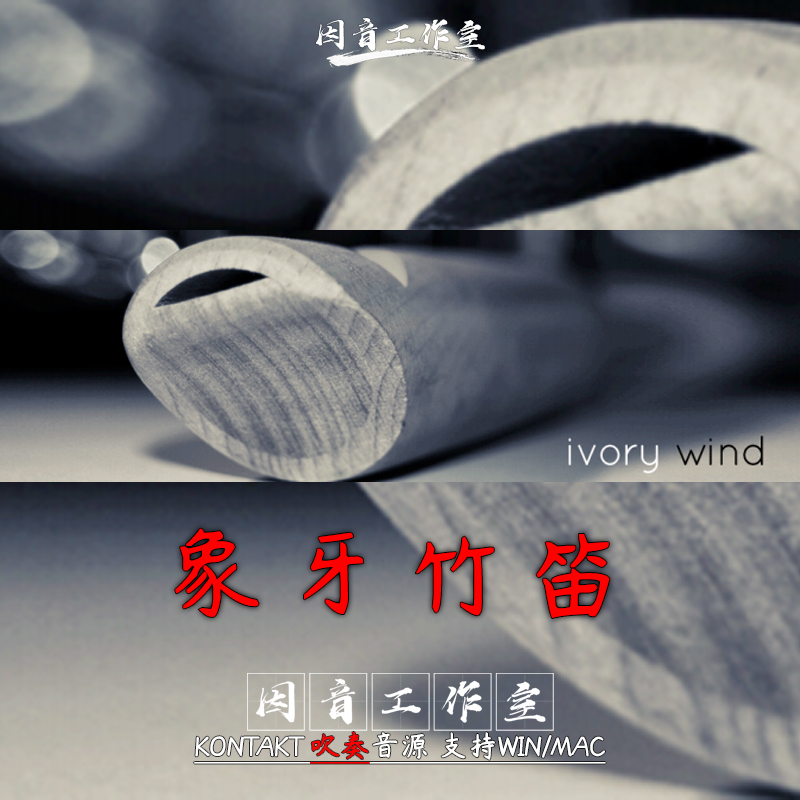 象牙竹笛 木笛 笛子音源 Ivory Wind 特色民族乐器 音色清新流行 乐器/吉他/钢琴/配件 软音源 原图主图