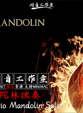 曼陀林独奏 8Dio Mandolin Solo拨奏弦鸣乐器音色清澈kontakt音源