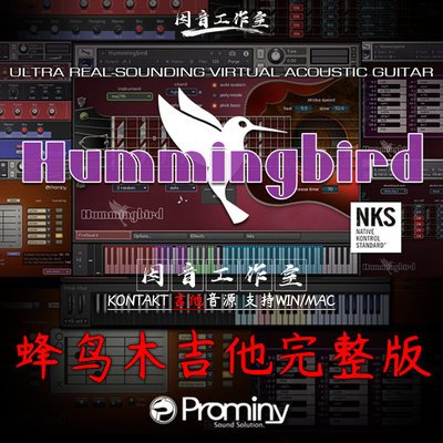 蜂鸟木吉他 完整版新版 Prominy Hummingbird v1.2.1精品原声吉他