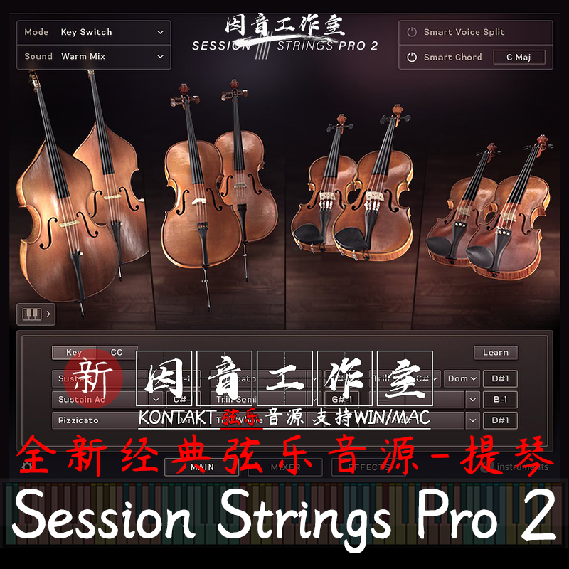 Session Strings Pro 2 v1.0.4提琴独奏合奏音色细腻自动弦乐音源 乐器/吉他/钢琴/配件 软音源 原图主图