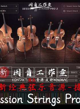 Session Strings Pro 2 v1.0.4提琴独奏合奏音色细腻自动弦乐音源