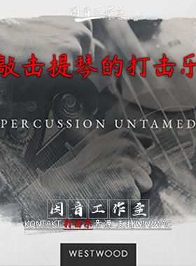 敲击提琴的打击乐Westwood Instruments Percussion Untamed含mid