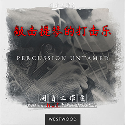 敲击提琴的打击乐Westwood Instruments Percussion Untamed含mid