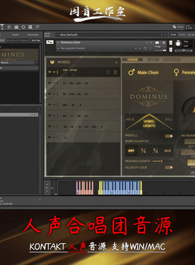 人声合唱团音源Fluffy Audio Dominus Choir精选人声kontakt音源